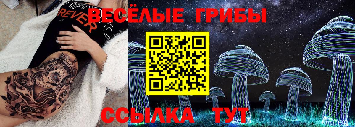 Артём  Галлюциногенные грибы мицелий  где можно купить   Вход с VPN 